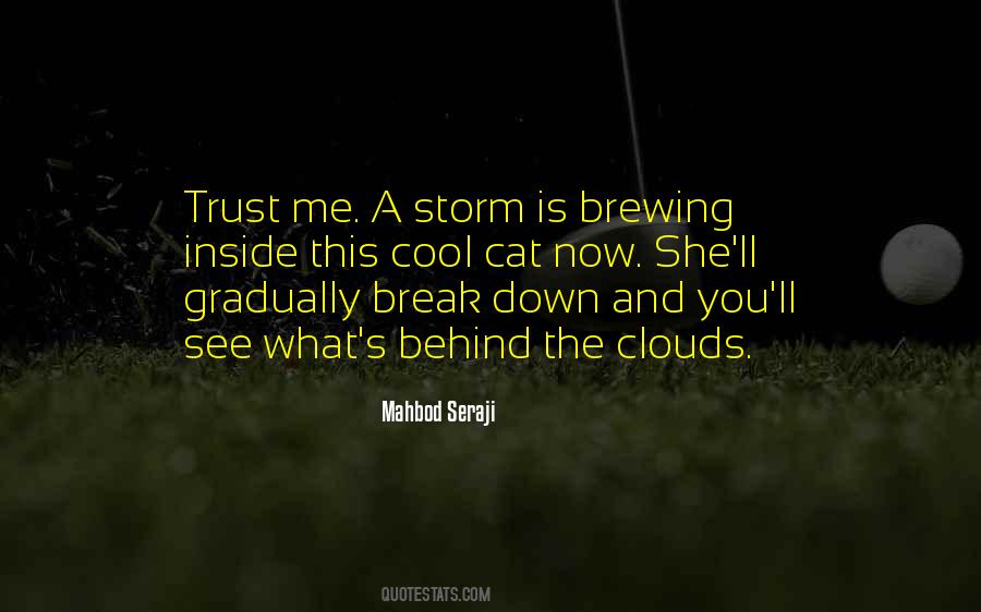 Quotes About Storm Clouds #867013