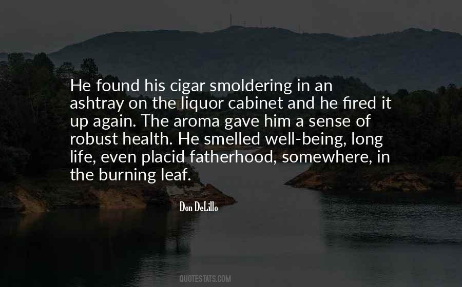 Quotes About Smoldering #1738354