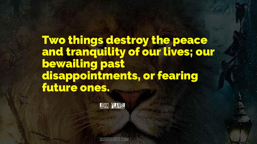 Quotes About Fearing The Future #675255