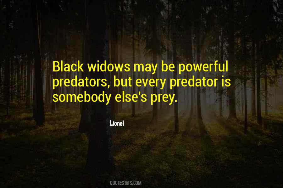 Quotes About Widows #8715