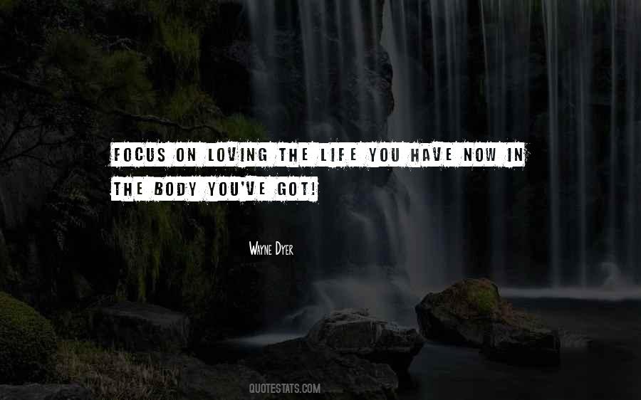 Stop Deforestation Quotes #1172093