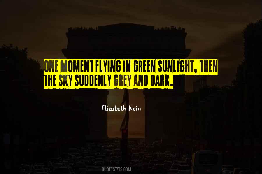 Quotes About Flying In The Sky #1613877