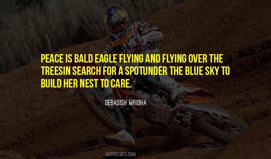 Quotes About Flying In The Sky #1638943