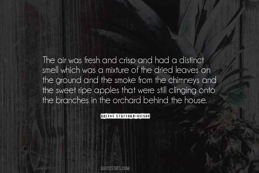 Quotes About Chimneys #1419393