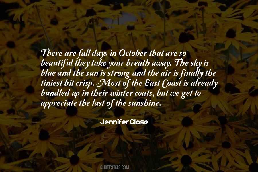 Quotes About Sunshine Days #1653263