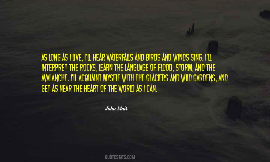 Wild Birds Quotes #1463027