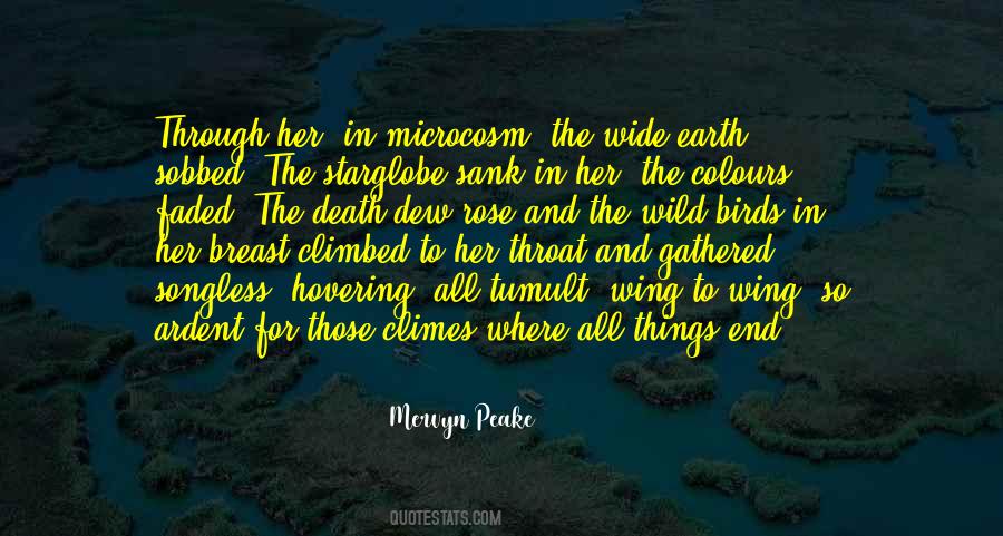 Wild Birds Quotes #150841