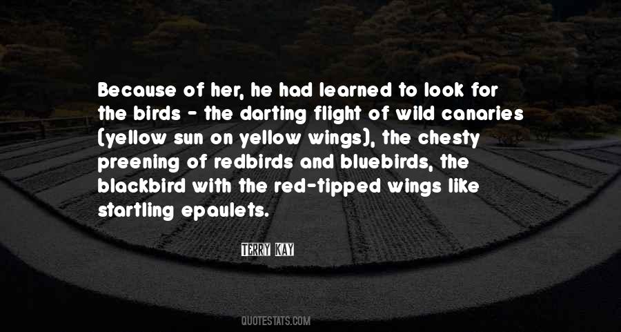 Wild Birds Quotes #1860732