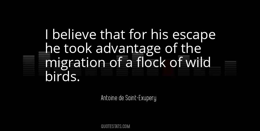 Wild Birds Quotes #193866