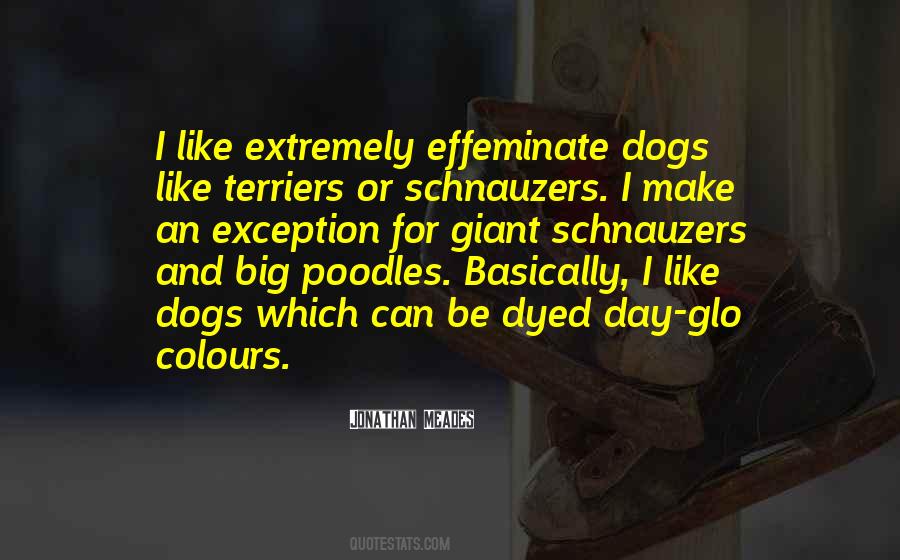 Quotes About Poodles #554712