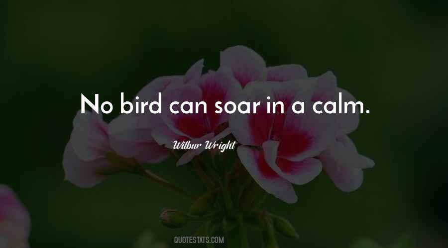 Quotes About Calm #1742197