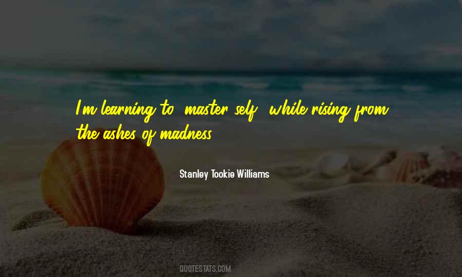 Quotes About Rising Up From The Ashes #482904