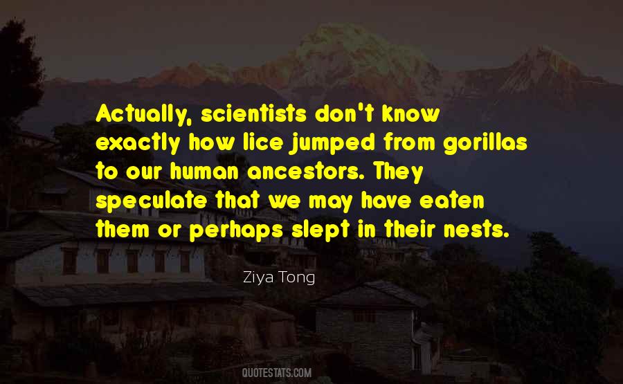 Quotes About Gorillas #1043714