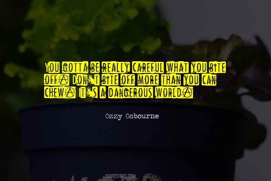 Bite Off More Than You Can Chew Quotes #1037837