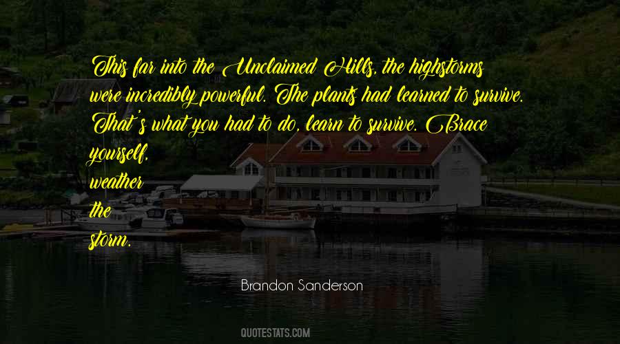 Quotes About What You Had #236163