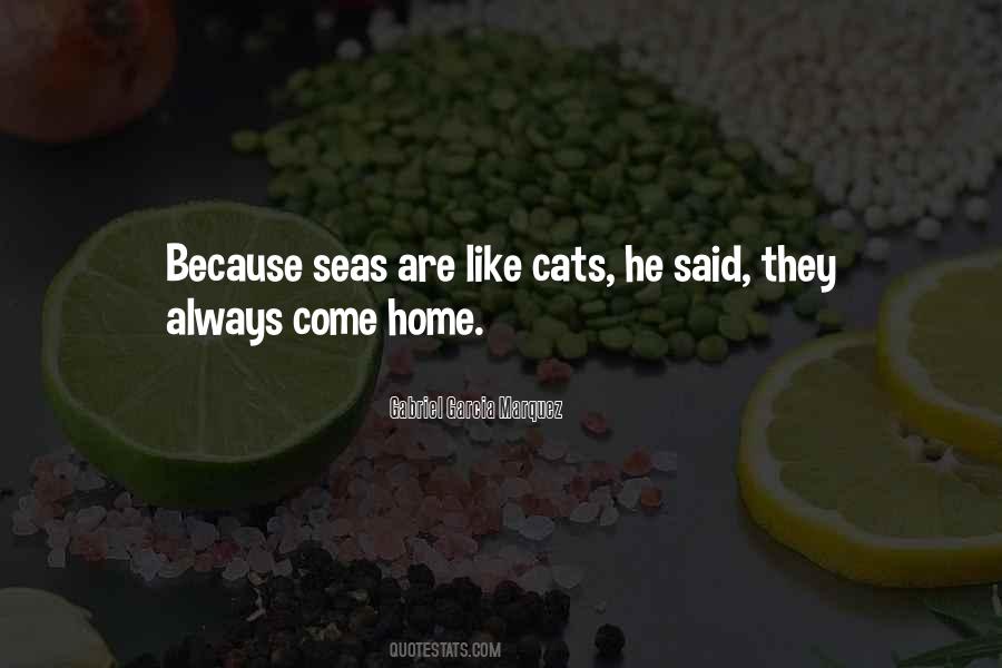 Satbir Singh Quotes #881514