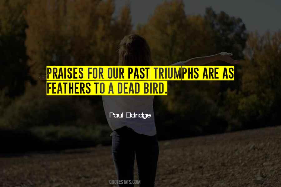 Quotes About Feathers #1000751