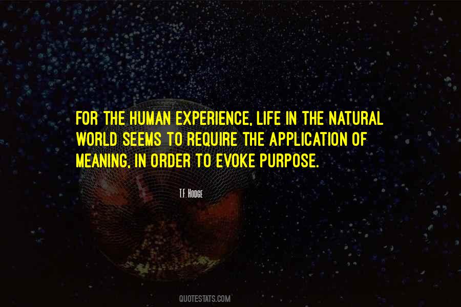 Quotes About The Human Experience #1074725