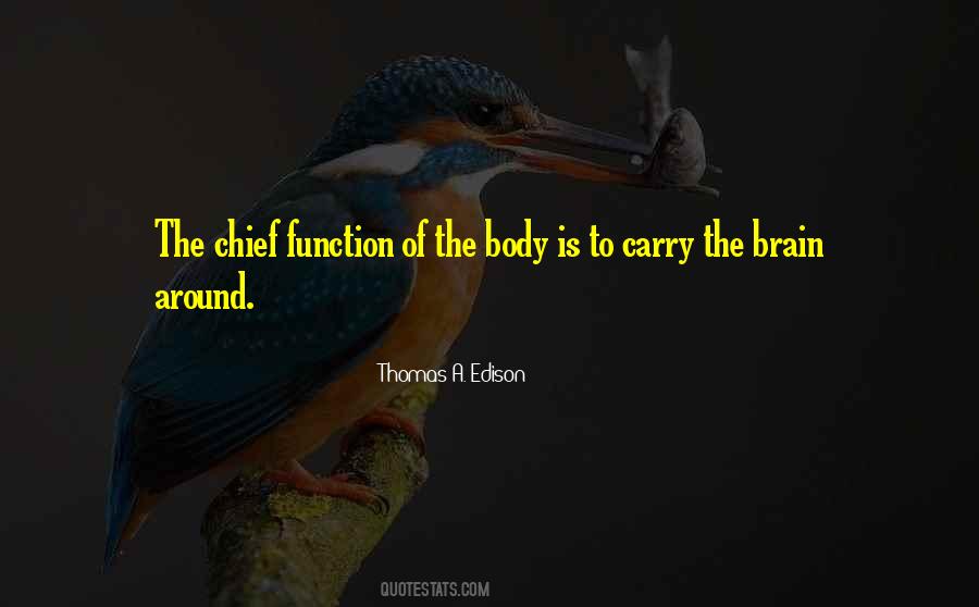 Quotes About Brain Function #1356076