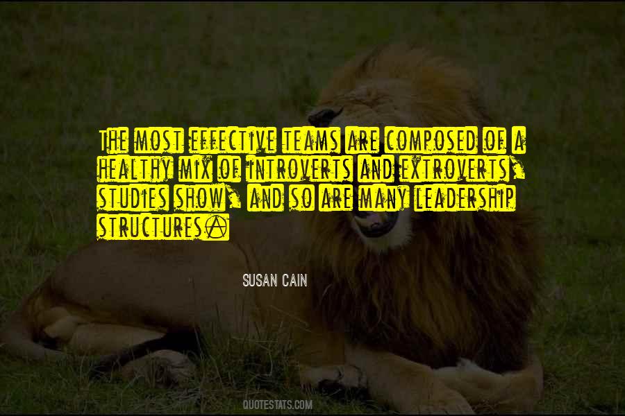 Quotes About Teams And Leadership #560011