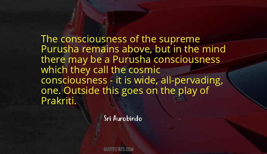 Supreme Consciousness Quotes #1625017