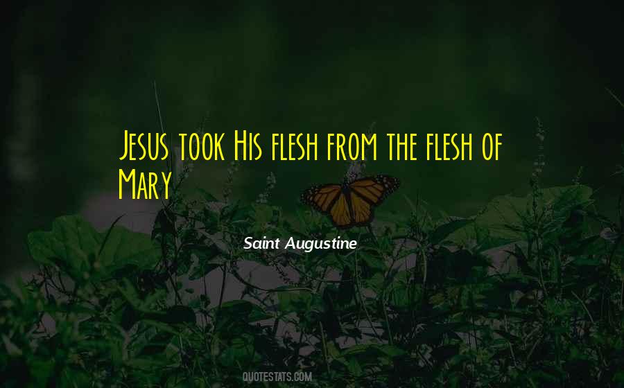 Quotes About Saint Mary #944408