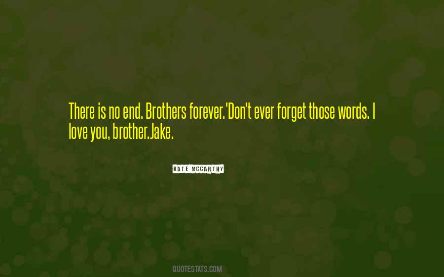 Quotes About I Love You Brother #113448