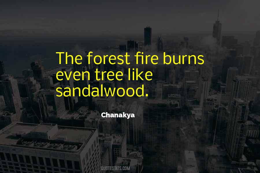 Burns Like Fire Quotes #854419