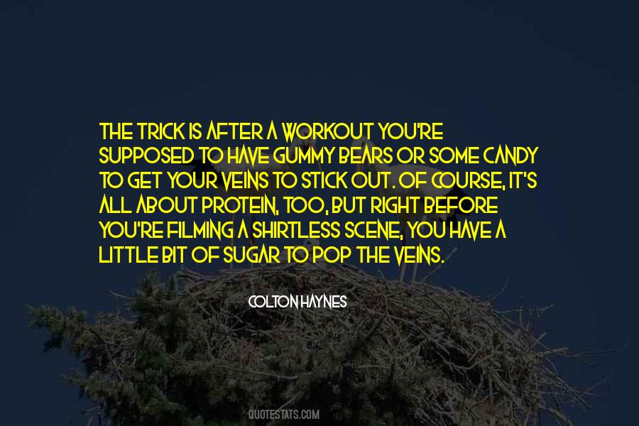 Quotes About Gummy Bears #1006391