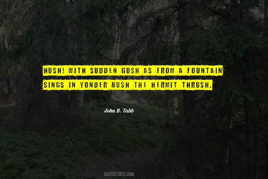 Quotes About Hush Hush #223500