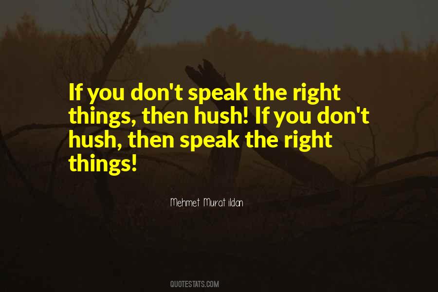 Quotes About Hush Hush #452714