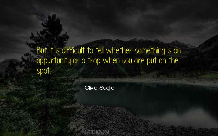 Quotes About Oppurtunity #290598
