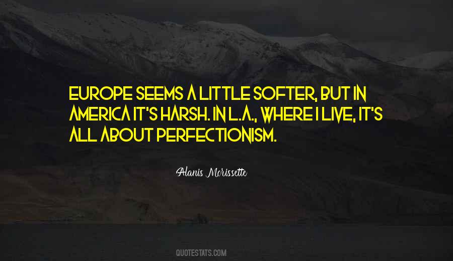 Quotes About Perfectionism #253652