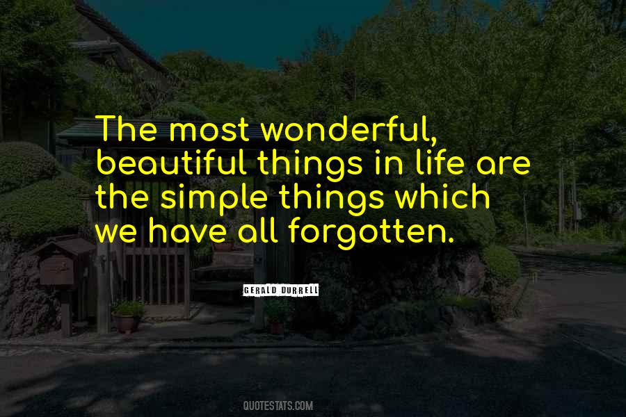 Quotes About The Simple Things In Life #1247031