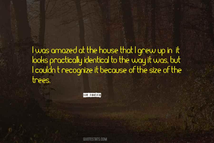 Size Up Quotes #638438