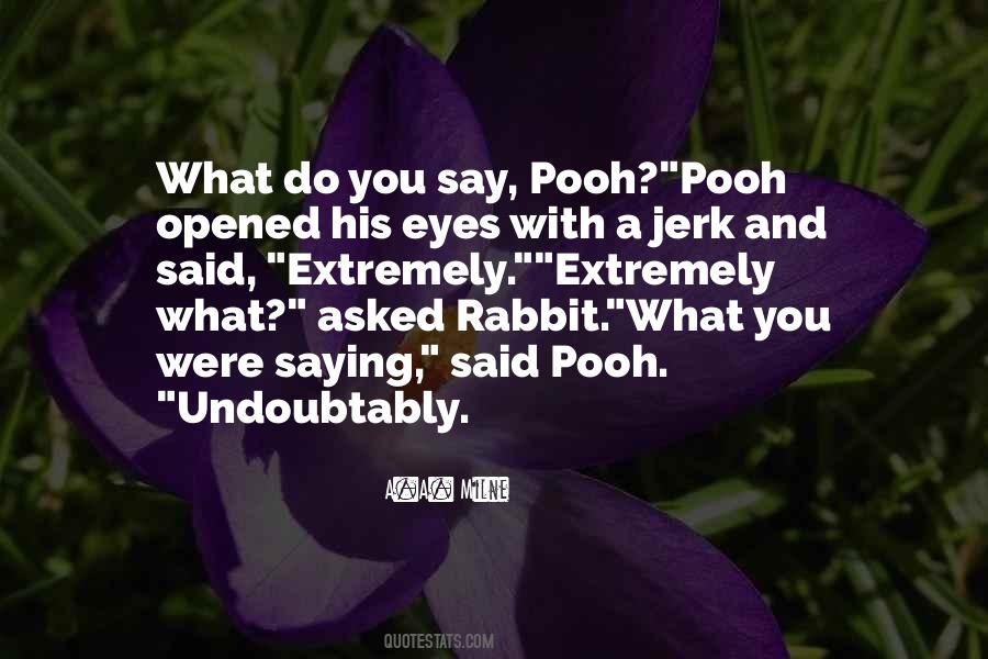 Quotes About Pooh #266909