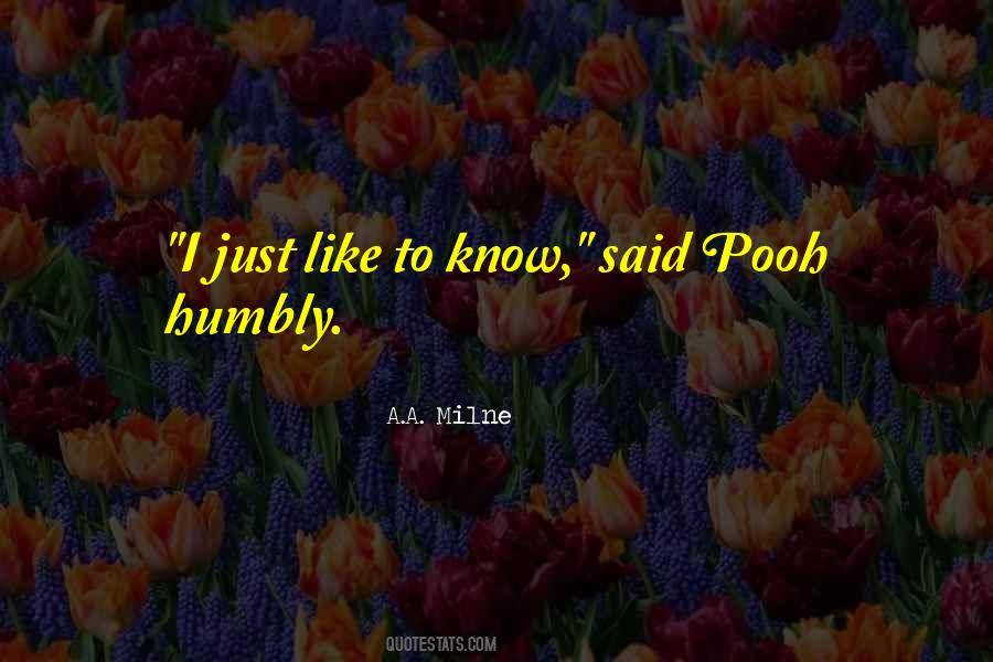 Quotes About Pooh #31578