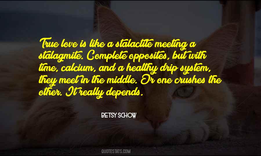 Quotes About Opposites In Love #1640322