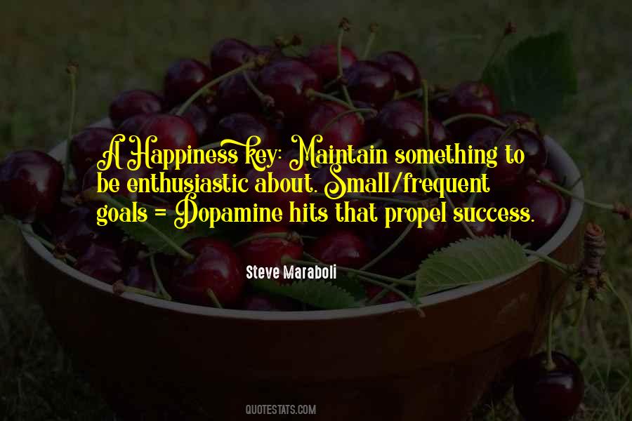 Small Success Quotes #575759