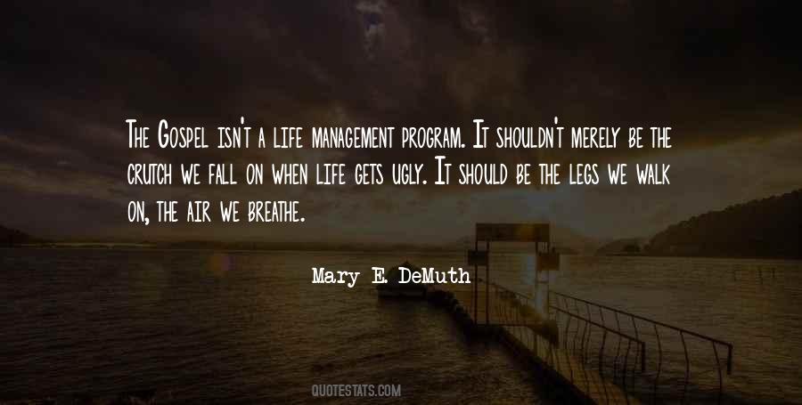Quotes About Program Management #1773499