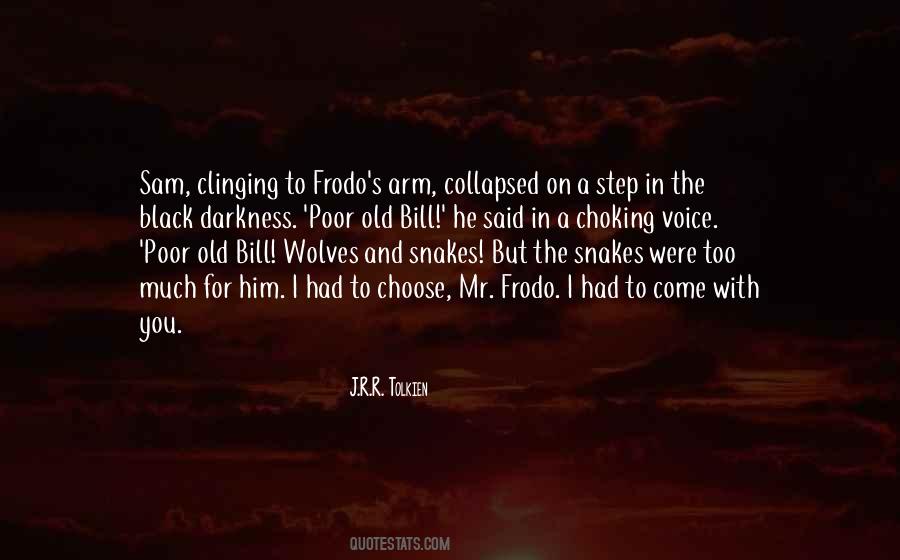 Quotes About Frodo #173822