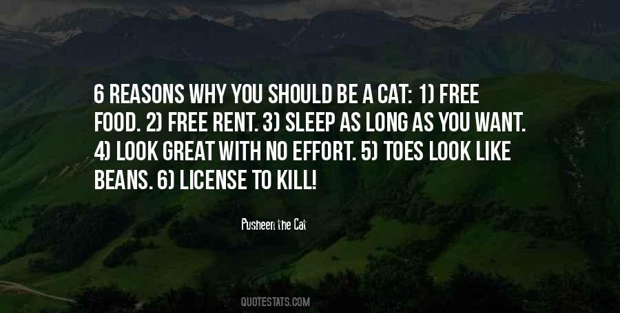 Sleep Like A Cat Quotes #588043