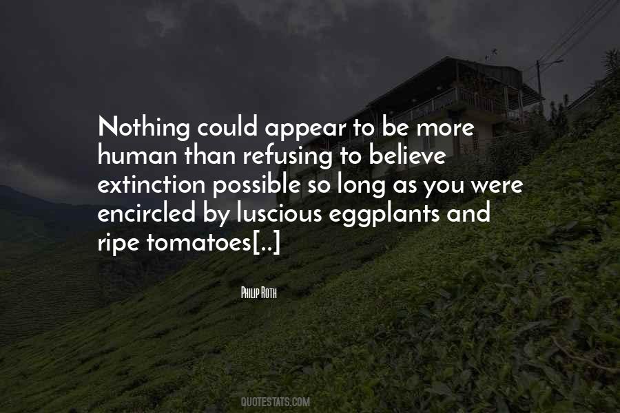 Quotes About Eggplants #971606