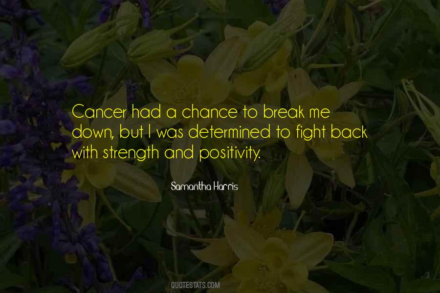 Break Me Quotes #1446718