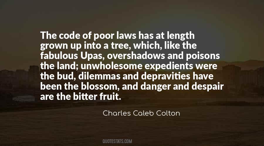 Quotes About The Poor Law #339446