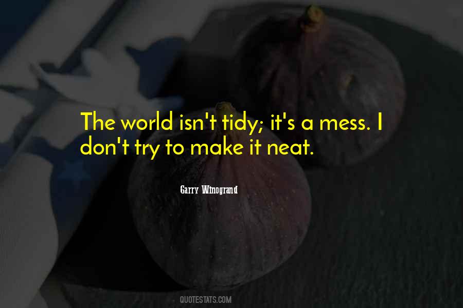 Quotes About Neat And Tidy #266232