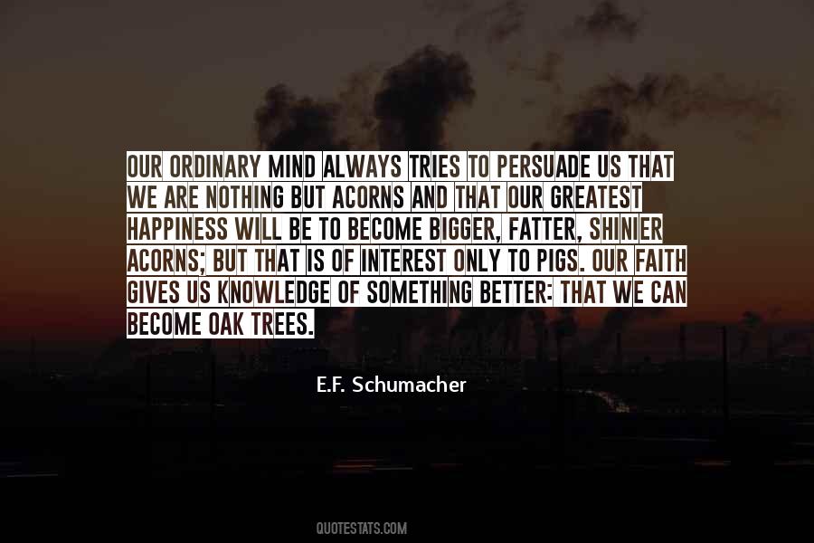 Quotes About Schumacher #684375