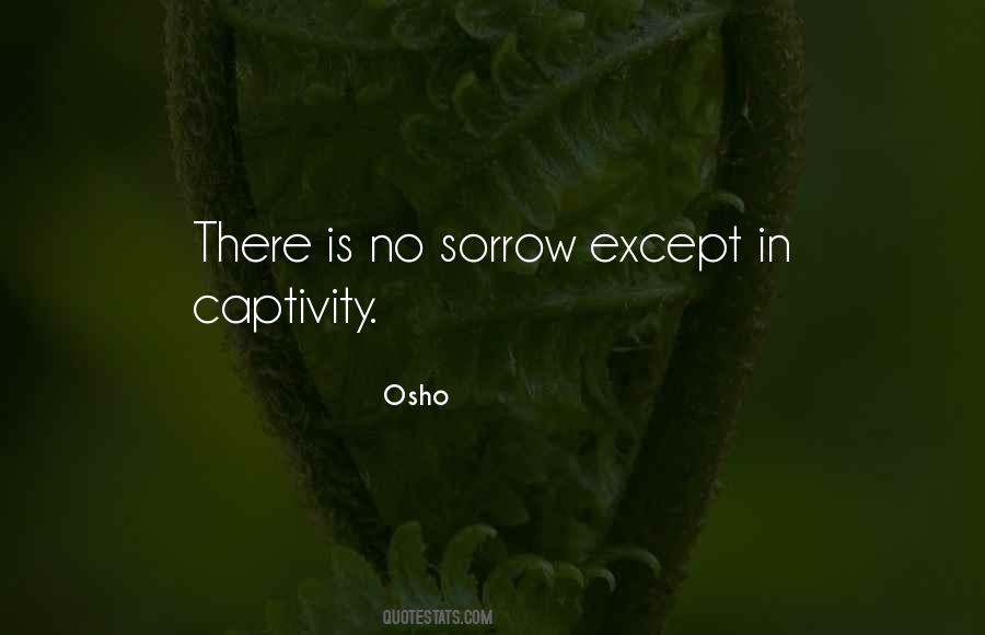 Quotes About Captivity #672519