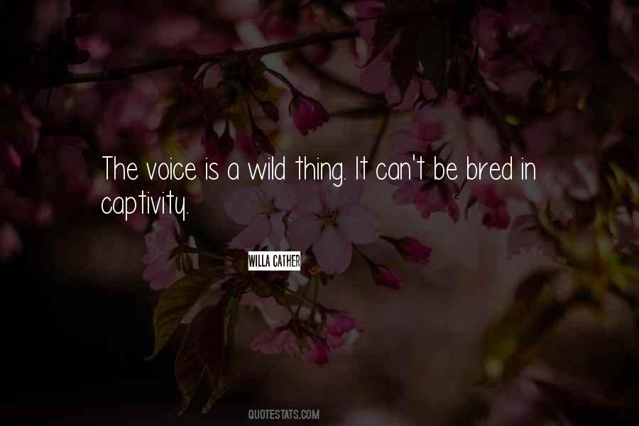 Quotes About Captivity #774869