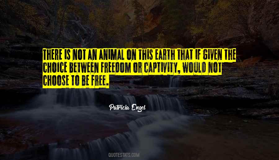 Quotes About Captivity #781752